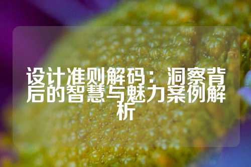 设计准则解码：洞察背后的智慧与魅力案例解析