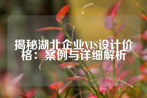 揭秘湖北企业VIS设计价格：案例与详细解析