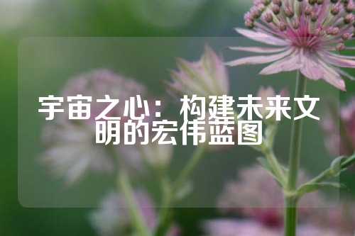 宇宙之心：构建未来文明的宏伟蓝图