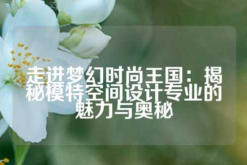 走进梦幻时尚王国：揭秘模特空间设计专业的魅力与奥秘