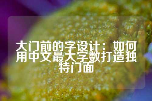 大门前的字设计：如何用中文最大字数打造独特门面