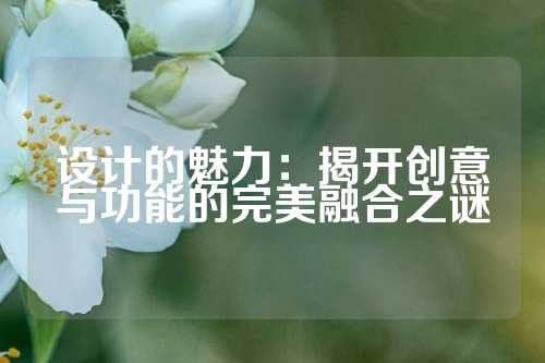 设计的魅力：揭开创意与功能的完美融合之谜