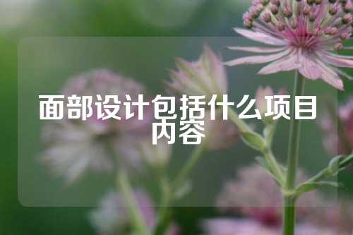面部设计包括什么项目内容