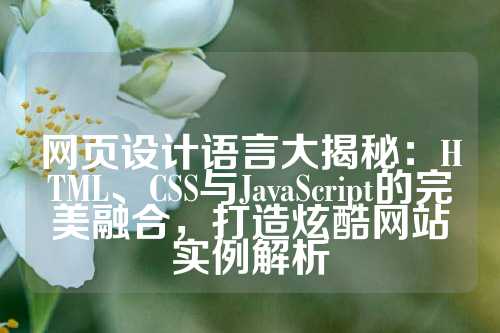 网页设计语言大揭秘：HTML、CSS与JavaScript的完美融合，打造炫酷网站实例解析