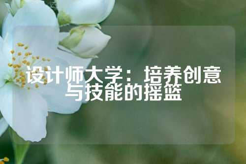 设计师大学：培养创意与技能的摇篮