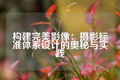 构建完美影像：摄影标准体系设计的奥秘与实践