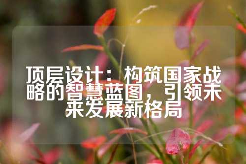顶层设计：构筑国家战略的智慧蓝图，引领未来发展新格局