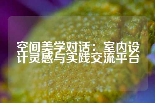 空间美学对话：室内设计灵感与实践交流平台